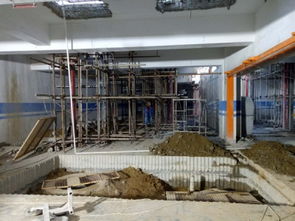 建筑材料的演进与未来展望